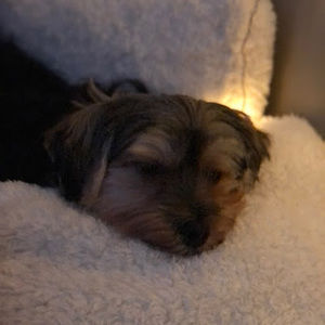 Meet your Posher, Natalie